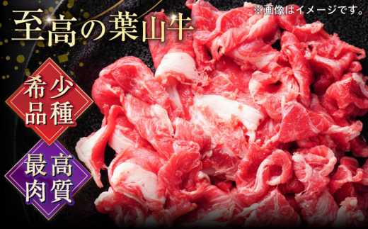 【全3回定期便】葉山牛 切り落とし300g×3パック 国産牛 牛肉 切り落とし 高級和牛 冷凍 黒毛和牛 国産 希少品種 小分け 横須賀 すき焼き すきやき ぎゅうにく きりおとし 大容量 神奈川銘品