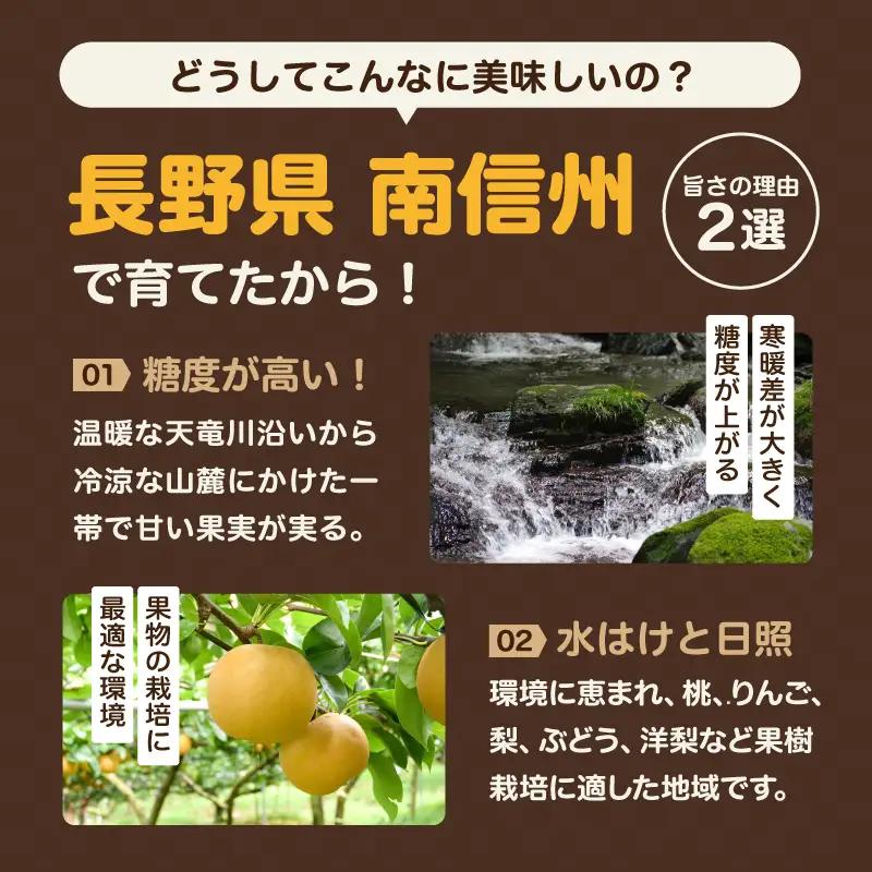 【9月上旬から発送予定】南信州生まれのジューシーで甘い梨「南水梨」 約2kg 5～6玉 糖度14.0以上
