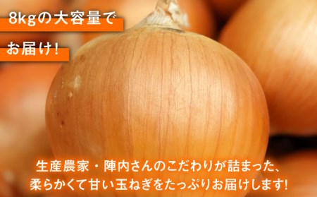 【先行予約 2027年5月～発送】小分け 玉ねぎ 約8kg / 玉ねぎ [IAO020]