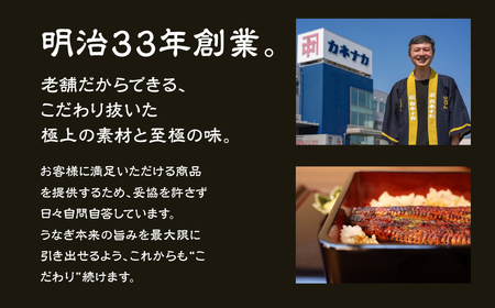 老舗蒲焼本舗の若うなぎ 2尾セット 蒲焼 ウナギ