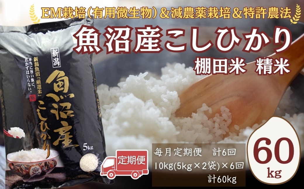 
                  【令和7年産】農家直送の棚田米 魚沼産コシヒカリ 精米 合計60kg 定期便 5kg2袋×6回(毎月お届け) 佐藤農場 | 新潟県産 コシヒカリ お米 米 おこめ こめ コメ こしひかり 魚沼産 ブランド米【0018-0003DB00-02】
                