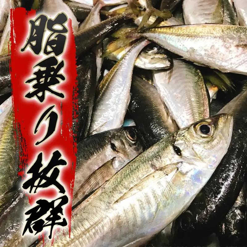 数量限定・萩の瀬つきあじ開き(特大サイズ/全長30cm前後を5尾入り)