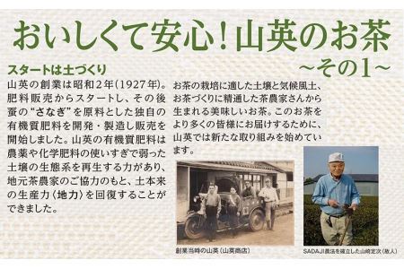 お茶屋さんのまかない茶 深蒸し掛川茶ティーバッグ 2.5g×100個×4袋 計400個 山英 6164