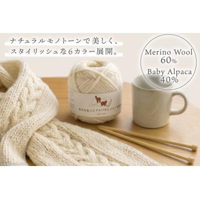 ふるさと納税 江南市 あみもねっと アルパカとメリノの物語 6番色 10玉セット |  | 01