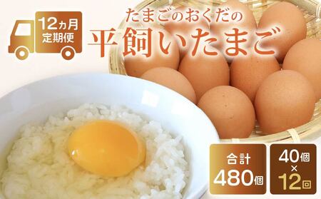 【たまご 定期便12回】平飼い卵 40個入【たまご 高知県 南国市】
