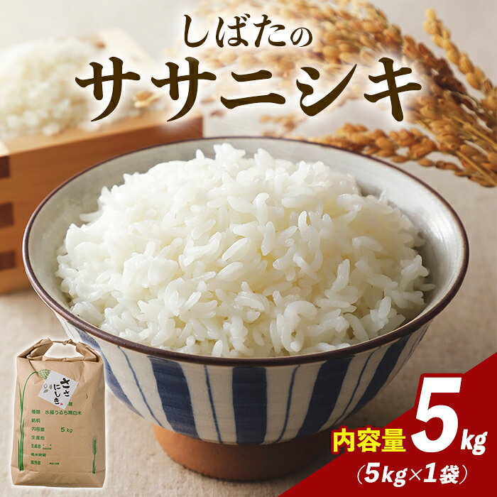 【ふるさと納税】＜令和8年産 新米＞しばたのササニシキ 精米 5kg 柴田町産 お米 おこめ 米 コメ 白米 ご飯 ごはん おにぎり お弁当 ささにしき【しばたの未来株式会社】sh198