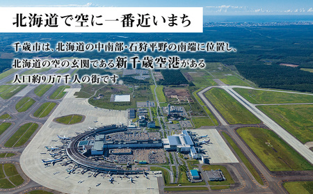 北海道 千歳市☆応援寄付金☆【返礼品なし】100,000円