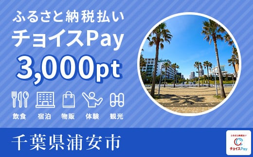 旅行・食事・宿泊などに使える！浦安市 チョイスPay 3,000ポイント【会員限定のお礼の品】