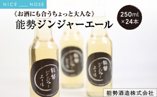 《お酒にも合うちょっと大人な》 能勢ジンジャーエール 250ml × 24本