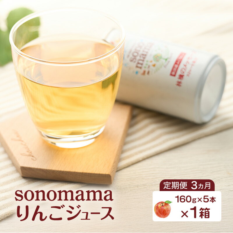 【ふるさと納税】《 定期便 3ヵ月 》 りんごジュース「sonomama」（160g×5本）×1箱 りんご リンゴ ジュース リンゴジュース 飲料
