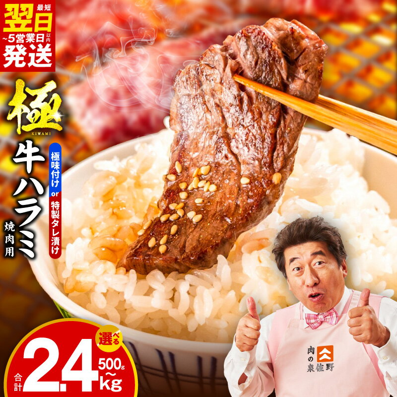 【ふるさと納税】牛肉 ハラミ 500g / 600g / 750g / 900g / 1kg / 1.2kg / 1.5kg / 2kg / 2.4kg 丸善特製ダレ 氷温熟成 極味付け 牛ハラミ 小分け 熟成肉 肉 焼肉 ふるさと納税オリジナル 限定 冷凍 最短 翌日発送 5営業日 大阪府 泉佐野市 送料無料 肉の泉佐野