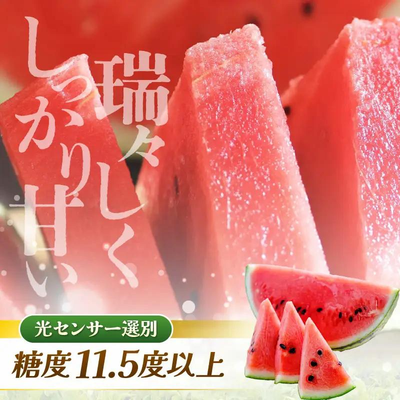 先行予約  大玉スイカ (赤肉) 1玉 糖度11.5度以上 2026年6月上旬以降順次発送予定 [A-22103]