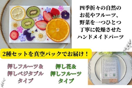 ハンドメイドパーツ 2種 セット押し 花 フラワー ドライフラワー ドライフルーツ ベジタブル
