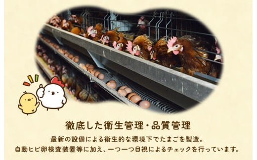 九十九里ファームこだわりたまご贈答用 30個 ～あおい海・みどりの里～《白玉》 たまご 卵 玉子 タマゴ 白玉 卵かけご飯 新鮮 旨み 甘み 贈答用 贈答 ギフト 贈り物 千葉県 匝瑳市