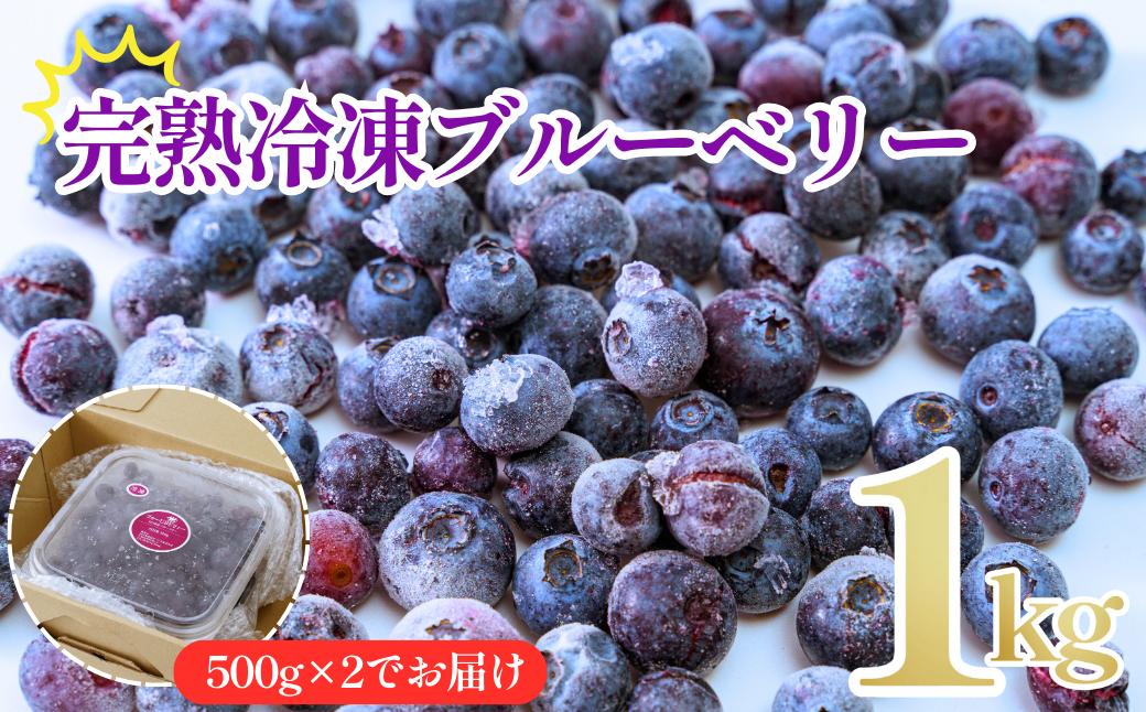 
            完熟 冷凍 ブルーベリー1kg(500g×2) |   ブルーベリー 完熟　冷凍ブルーベリー 急速 冷凍 新鮮 アントシアニン 目 抗酸化 肌 老化防止 血流 冷え性 脳卒中 効果 健康 栄養 甘み 酸味 バランス みずみずしい 食べやすい おやつ デザート フルーツ 果実 くだもの 山口県 宇部市
          