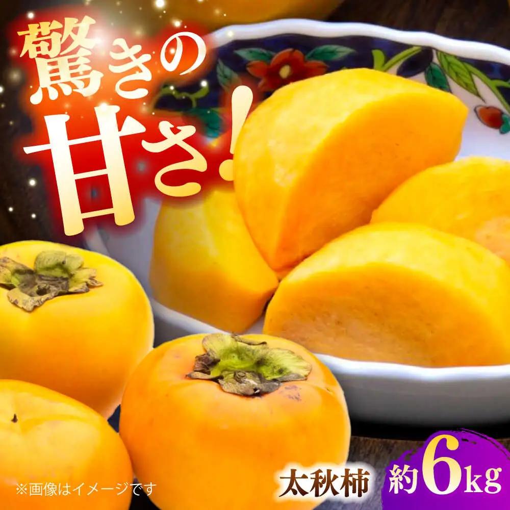 【先行予約】太秋柿 約6kg 柿 カキ フルーツ 果物 秋 【日本フルーツ株式会社】[ZFJ071]