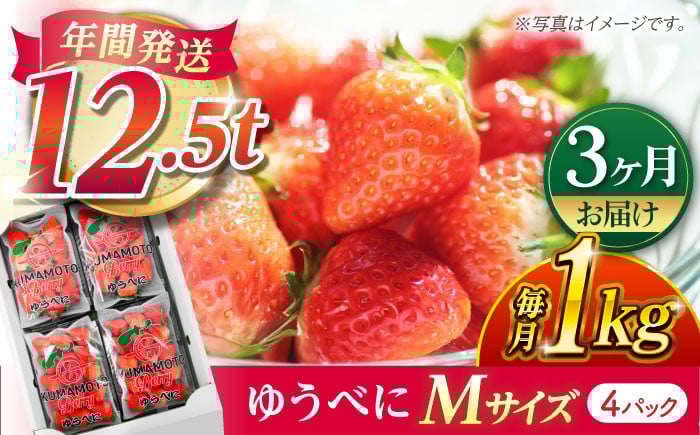 
            【先行予約】【3回定期便】いちご Mサイズ ゆうべに 1kg（4pc）【熊本ベリー】いちご イチゴ 苺 ゆうべに 大粒いちご  [ZER010]
          