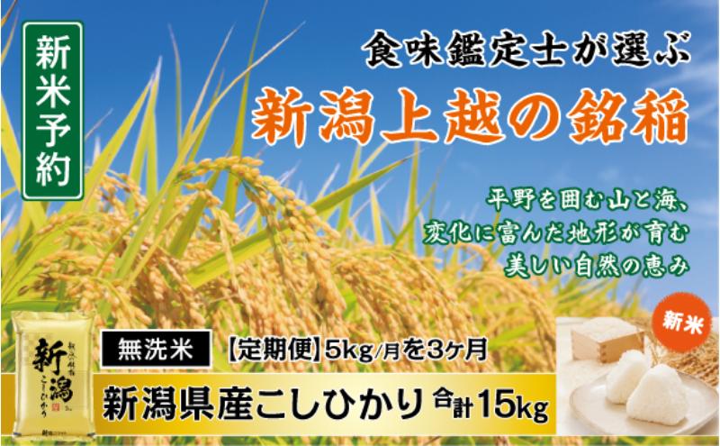 令和7年産 先行予約 食味鑑定士厳選 新潟県産こしひかり 無洗米 5kg 3か月定期便 上越市 米 コメ コシヒカリ