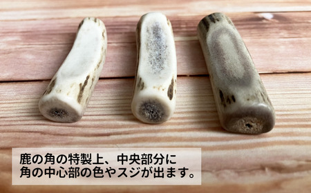＜色、形、大きさおまかせ＞鹿の角 箸置き 3個セット【竜鹿】 / 本物 加工 インテリア 鹿