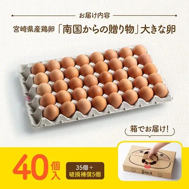 宮崎県産鶏卵　「南国からの贈り物」大きな卵40個入り（35個+破損補償5個）【たまご 卵 玉子 タマゴ】