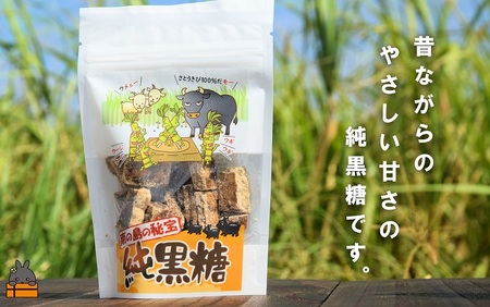 世界自然遺産 徳之島産さとうきび１００％使用 徳之島の純黒糖（6袋）( 黒糖 甘味 和菓子 さとうきび お茶請け 調味料 こだわり レターパックプラス 南の島 徳之島 奄美 鹿児島 世界自然遺産 徳北