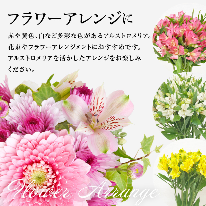 アルストロメリア ピンク系 1束 10本入り 花 生花 切花 2026年4月～7月上旬頃 お届け予定 山形県 米沢市