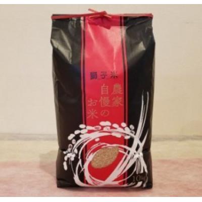 ふるさと納税 石岡市 【令和7年産】獅子米 ゆうだい21 玄米 10kg