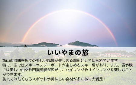 信州いいやま 宿泊補助券 3,000円分 信州飯山 宿泊補助券 T-1