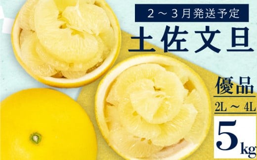 【2027年2月上旬から発送】 文旦 高知 5kg 優品 2L ～ 4L 浦ノ内特産 早期予約 予約受付中 期間限定 季節限定 限定 旬 みかん ミカン ぶんたん 高知県 土佐文旦 柑橘 贈答 お土産 KN025