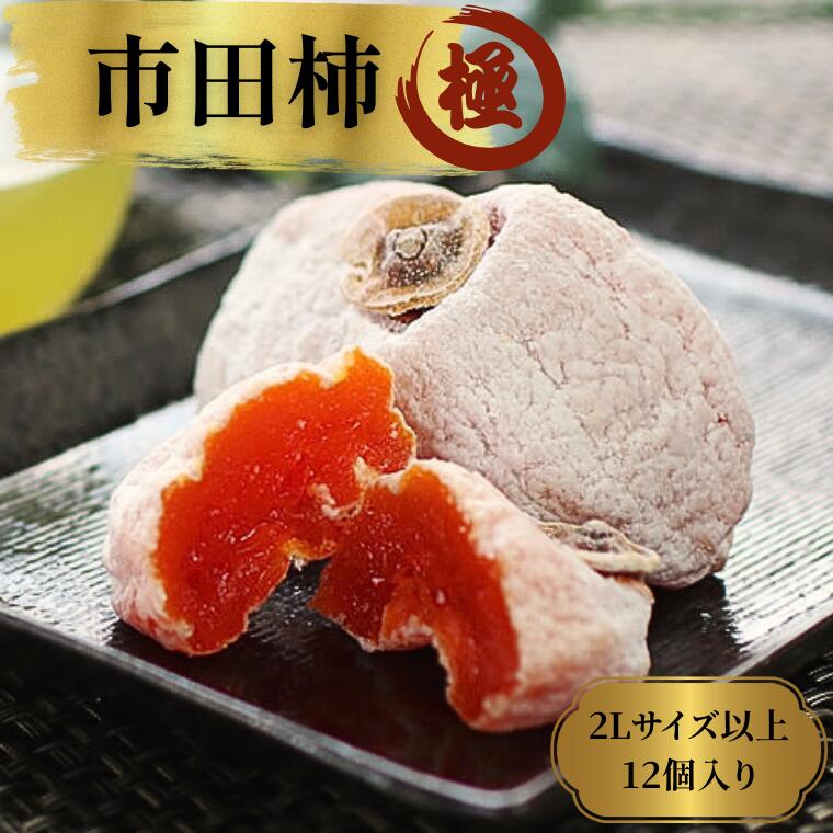【ふるさと納税】市田柿「極(きわみ)」2Lサイズ以上12粒入り／2026年1月上旬～2月下旬頃配送 // 長野県 南信州 個包装 大粒 干し柿 柿 高級 化粧箱入り 贈答 ギフト お取り寄せ MS20