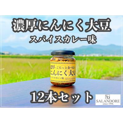 ふるさと納税 朝倉市 濃厚にんにく大豆_スパイスカレー味_12本セット |  | 03