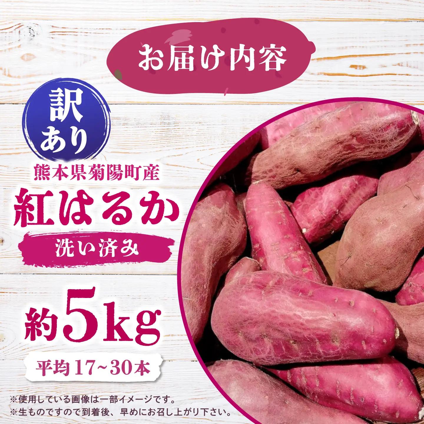 【先行予約】【2026年12月上旬より順次発送】【訳あり】さつまいも 約5kg(平均17本から30本)/ サツマイモ 芋 焼き芋 熊本県 菊陽町【株式会社さかもと農園】[BHDL001]