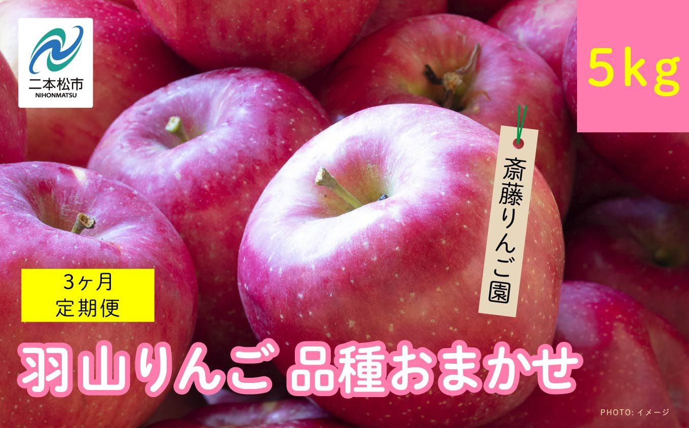 
            【3ヶ月定期便】品種おまかせ！羽山のりんご5kg×3回 りんご リンゴ 果物 フルーツ 羽山りんご 5kg 早生 人気 くだもの おすすめ お中元 お歳暮 ギフト 二本松市 ふくしま 福島県 送料無料【斎藤りんご園】
          