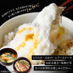 ＜先行予約受付中・2025年11月下旬～12月上旬頃から順次発送予定＞≪期間限定≫鹿児島県産自然薯1.8kg以上(１本掘り2本入り) 自然薯 山芋 贈り物【曽於市観光協会】A133-v01