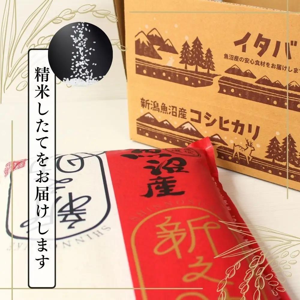 12ヶ月定期便 中魚沼産「新之助(しんのすけ)」10kg 有限会社イタバ |津南町 魚沼 令和7年
