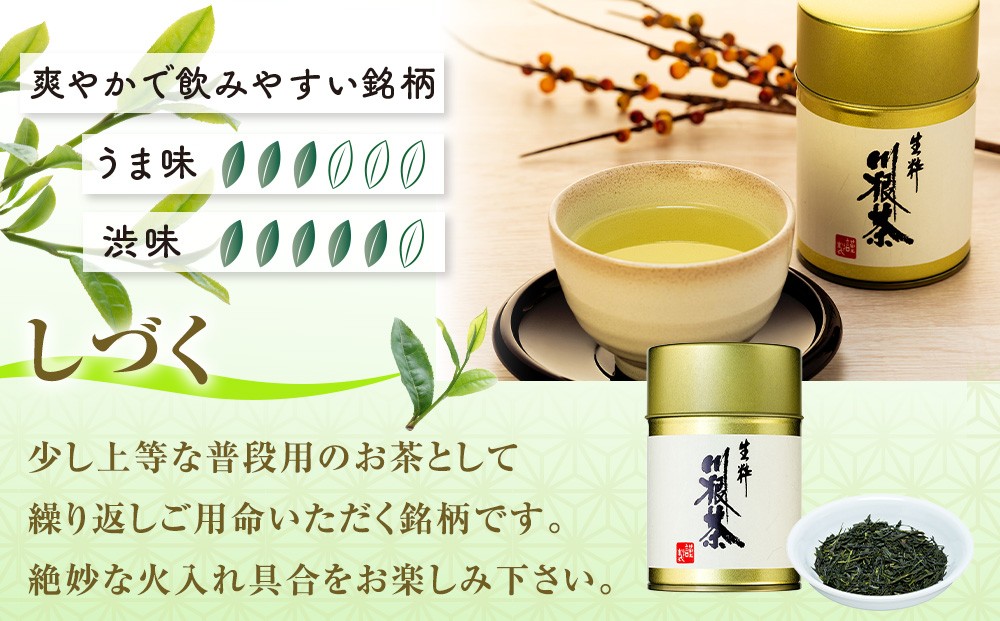 生粋川根茶澤本園 ふるさとありがとう２