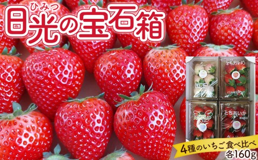 ひみつ（日光）の宝石箱 4種類の苺の食べ比べ セット 【2026年1月初旬より順次発送】 ｜フルーツ いちご 苺 期間限定 とちおとめ スカイベリー とちあいか ミルキーベリー 栃木 産地直送 産直