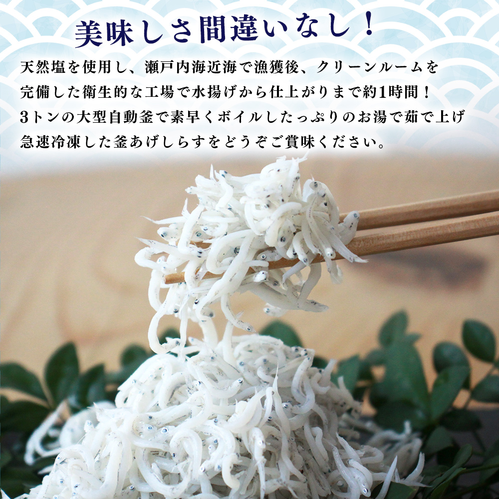 ＜老舗網元 濱田屋の釜あげしらす 合計1kg（100g×10個）＞ 釜揚げ シラス じゃこ 海鮮 海産物 丼 おにぎり 具材 ごはんのお供 おつまみ おやつ 小魚 カルシウム 乾物 小分け 国産 マル