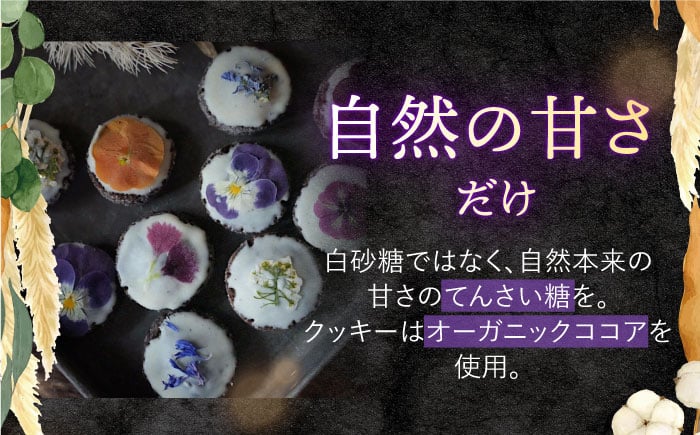 クッキー アソート 10個入り