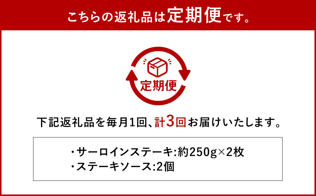 【全3回定期便】長崎和牛 サーロイン ステーキ 250g×2枚 牛肉 肉 牛 和牛 国産