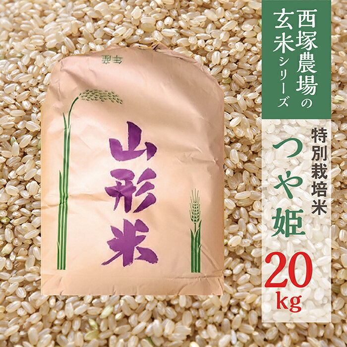 【ふるさと納税】【令和8年産予約】特別栽培米 つや姫 玄米 20kg 1袋