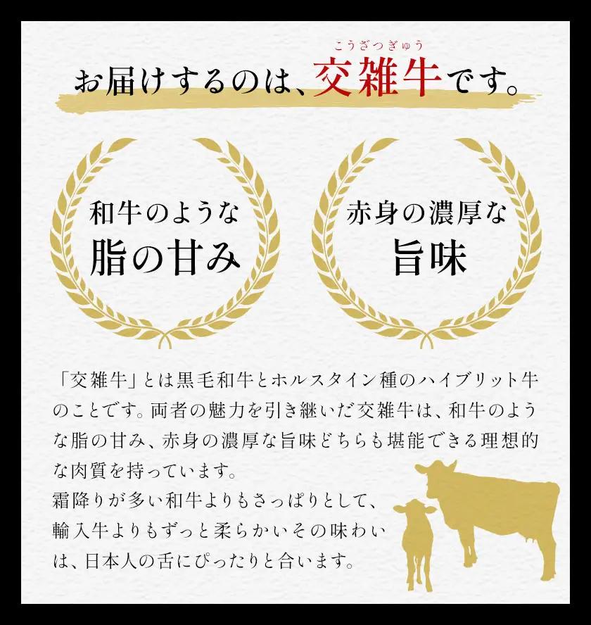 岡山県産牛 ステーキ サーロイン リブ 交雑牛 500g
