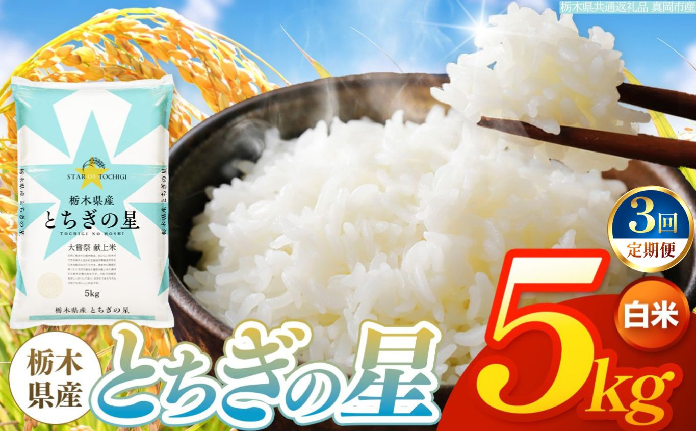【令和8年産 新米】 【定期便3回】栃木県産 お米 とちぎの星　（白米） 5kg 【2026年秋以降発送】 |  栃木県 矢板市 【栃木県共通返礼品 真岡市産】 【定期便3回】白米 5kg | 300