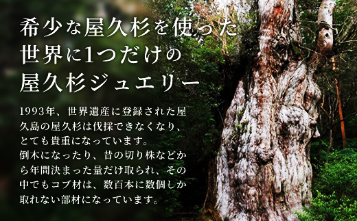 【グレイン】屋久杉リング－細身タイプ －添（Sou）－