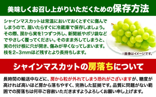 【先行予約】食べ比べセット たたらみねらる シャインマスカット 瀬戸ジャイアンツ 約2kg(各２房)《2026年8月下旬-10月下旬頃出荷予定》岡山県 笠岡市 マスカット ぶどう ブドウ 葡萄 フルー