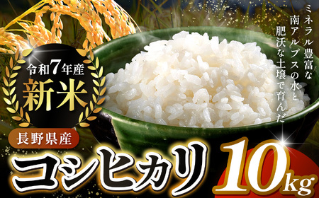 米 お米 コシヒカリ 信州伊那産 令和７年度 伊那市田原産米 コシヒカリ 10キロ ｜ 米 コシヒカリ 田原産 お米 伊那 伊那産 長野県 ふるさと納税 【027-17】