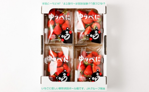 【2023年11月下旬発送開始】完熟 朝どれ 農家直送「ゆうべに」2L～3L 250g×4パック 計1kg 苺 イチゴ 熊本県産