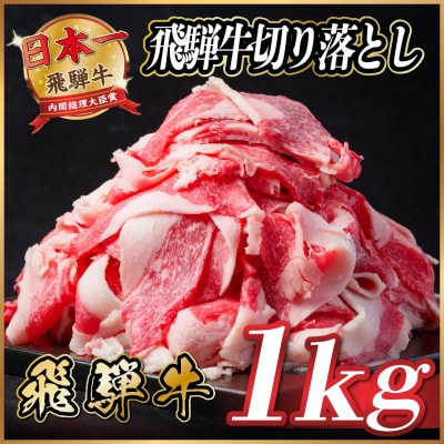 飛騨牛　切り落とし　約1kg(約500g×2パック)【冷蔵便】A4～A5等級 黒毛和牛 小分け【配送不可地域：離島】