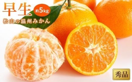 【先行予約】【2025年11月中旬から発送予定】温州みかん「早生」＜秀品＞約5kg　※11月中旬より出荷開始予定 （ 愛媛産 愛媛県産 国産 愛媛みかん 愛媛蜜柑 愛媛ミカン みかん ミカン mikan 蜜柑 柑橘 フルーツ 果物 くだもの お取り寄せ 産地直送 数量限定 人気 おすすめ 愛媛県 松山市 送料無料 ）【KK0541】
