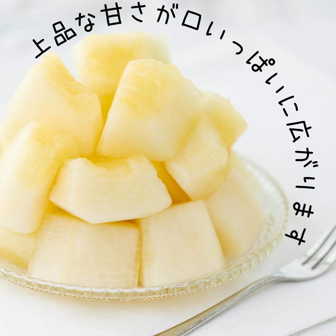 34J.樋口農園のクレオパトラメロン 2玉